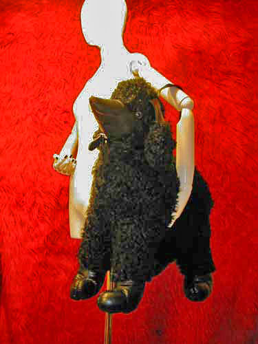 Kazuko Ogawa �S�X���� �S�V�b�N �����[�^ �f�U�C�i�[