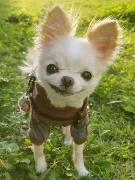 Kazuko Ogawa �S�X���� �S�V�b�N �����[�^ �f�U�C�i�[