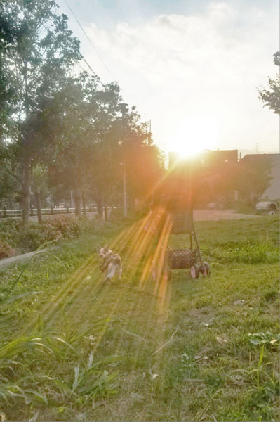 Kazuko Ogawa �S�X���� �S�V�b�N �����[�^ �f�U�C�i�[