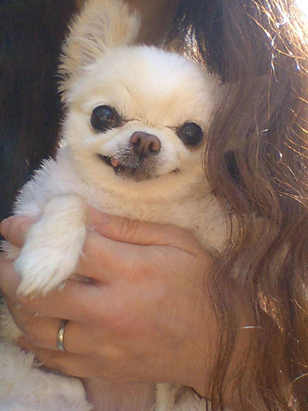 Kazuko Ogawa �S�X���� �S�V�b�N �����[�^ �f�U�C�i�[