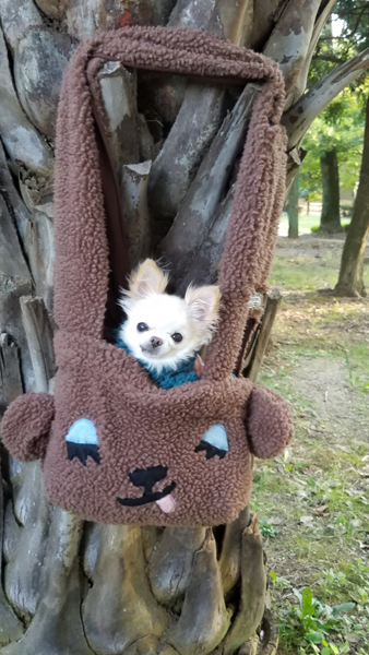 Kazuko Ogawa �S�X���� �S�V�b�N �����[�^ �f�U�C�i�[