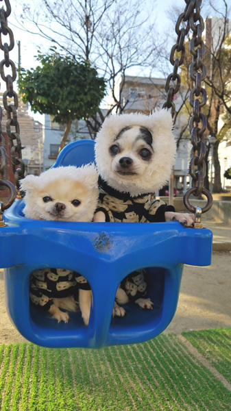 Kazuko Ogawa �S�X���� �S�V�b�N �����[�^ �f�U�C�i�[