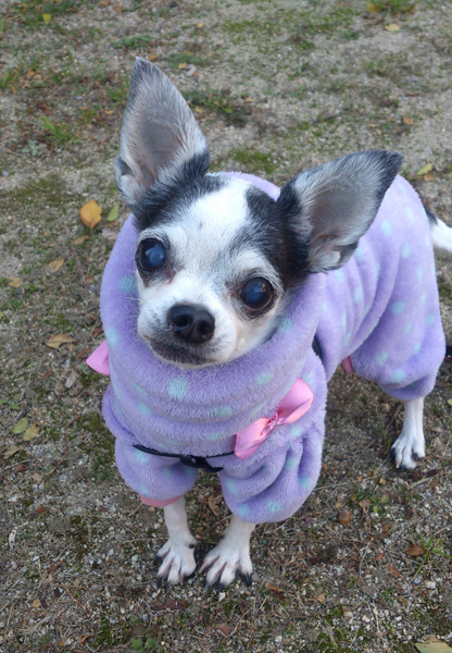 Kazuko Ogawa �S�X���� �S�V�b�N �����[�^ �f�U�C�i�[