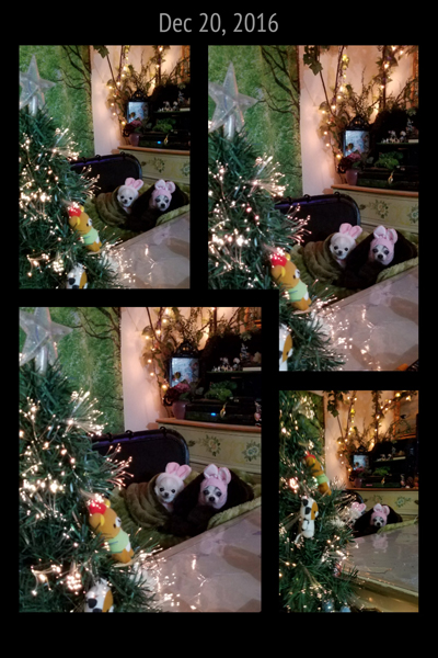 Kazuko Ogawa �S�X���� �S�V�b�N �����[�^ �f�U�C�i�[