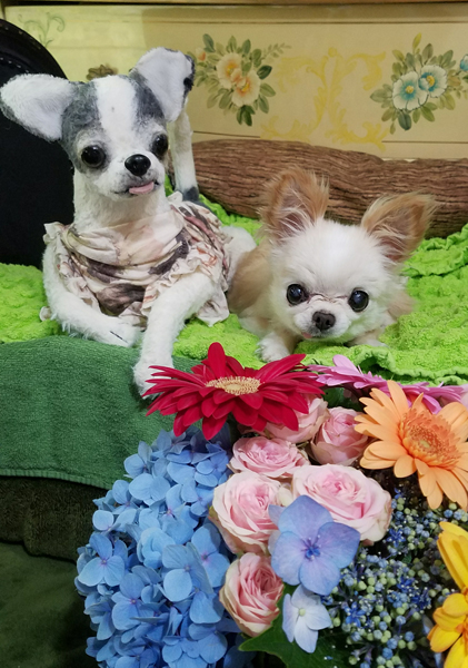 Kazuko Ogawa �S�X���� �S�V�b�N �����[�^ �f�U�C�i�[