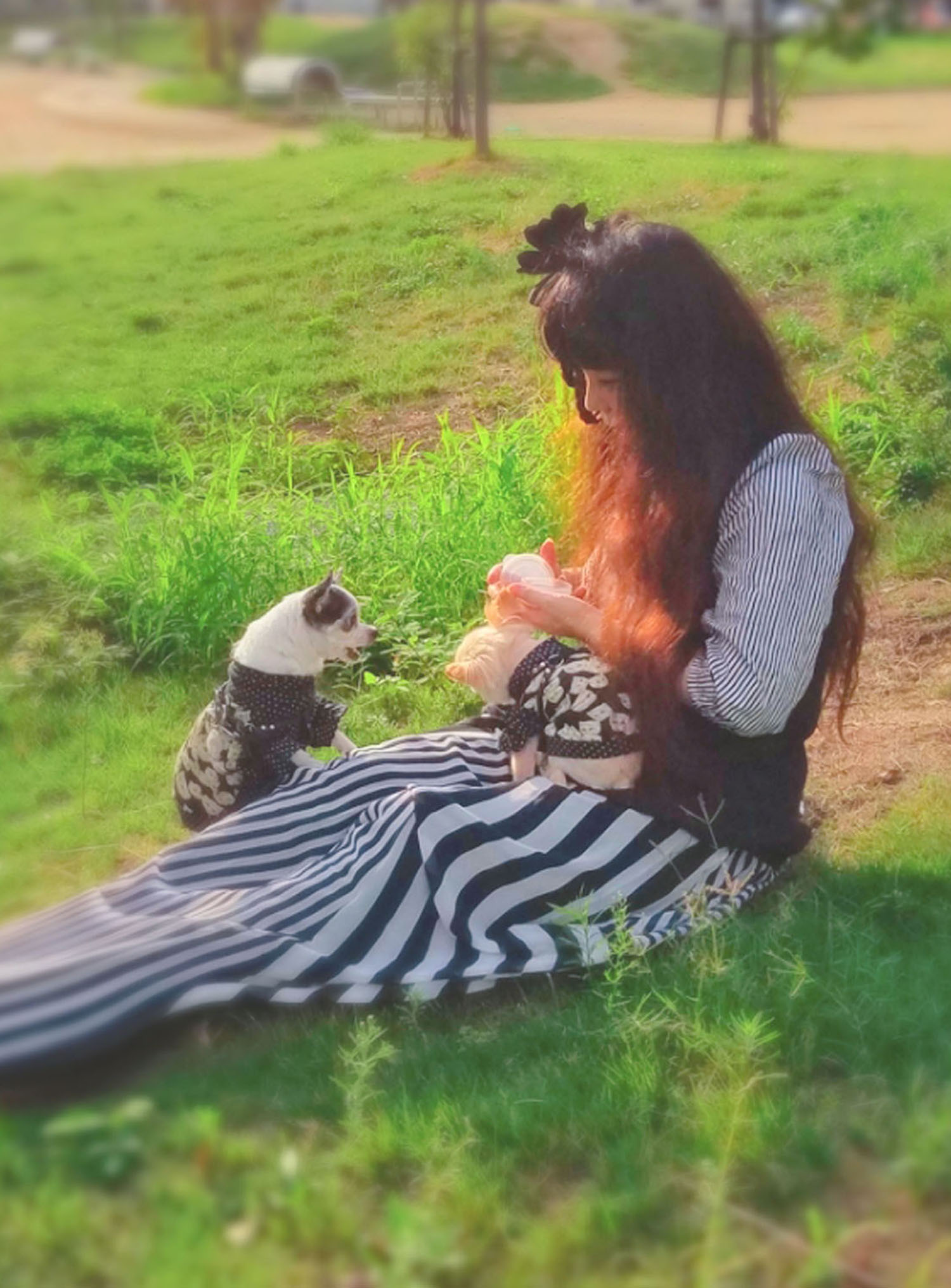 Kazuko Ogawa �S�X���� �S�V�b�N �����[�^ �f�U�C�i�[