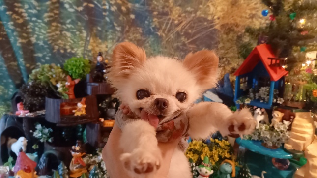 Kazuko Ogawa �S�X���� �S�V�b�N �����[�^ �f�U�C�i�[