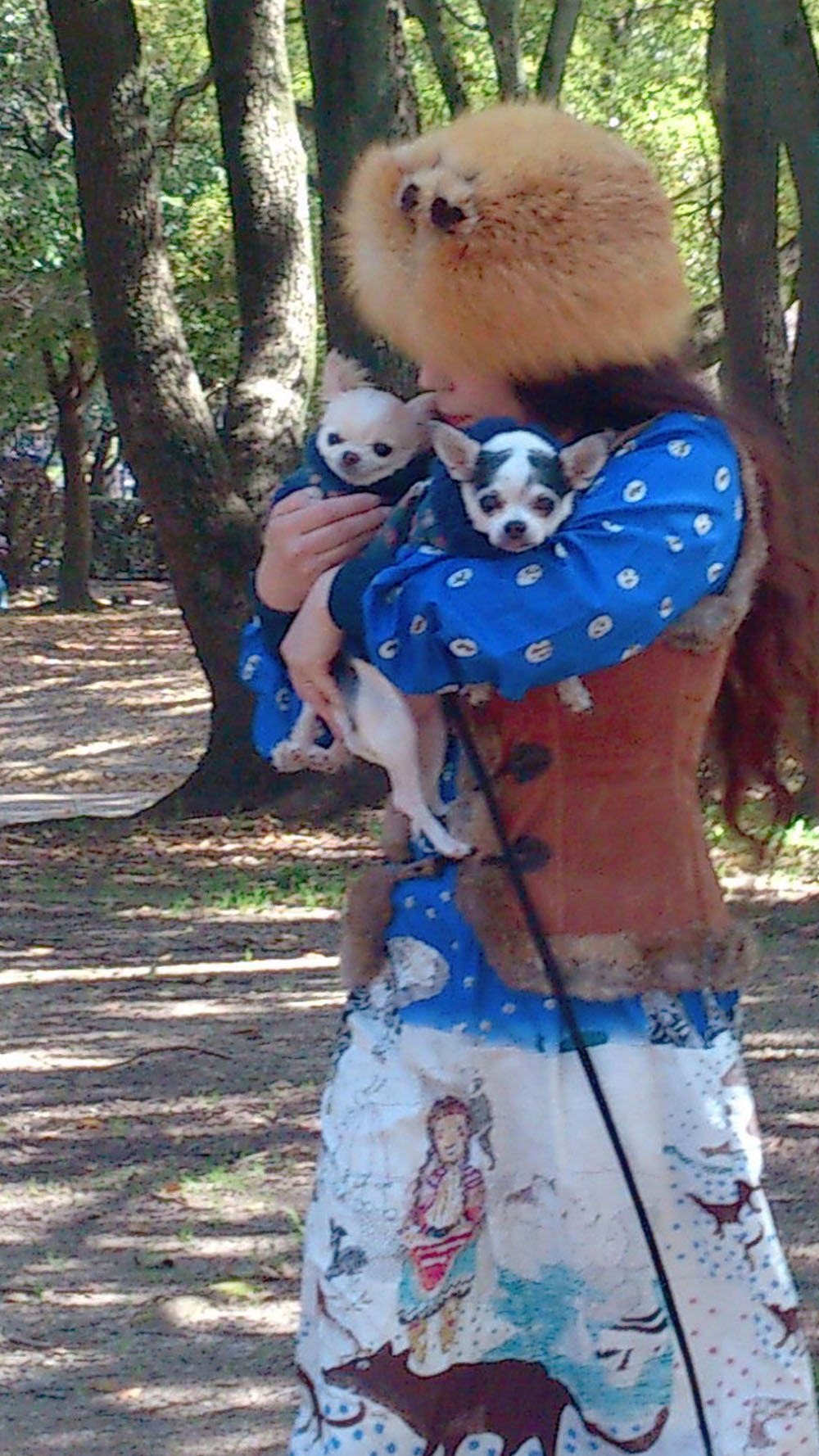 Kazuko Ogawa �S�X���� �S�V�b�N �����[�^ �f�U�C�i�[