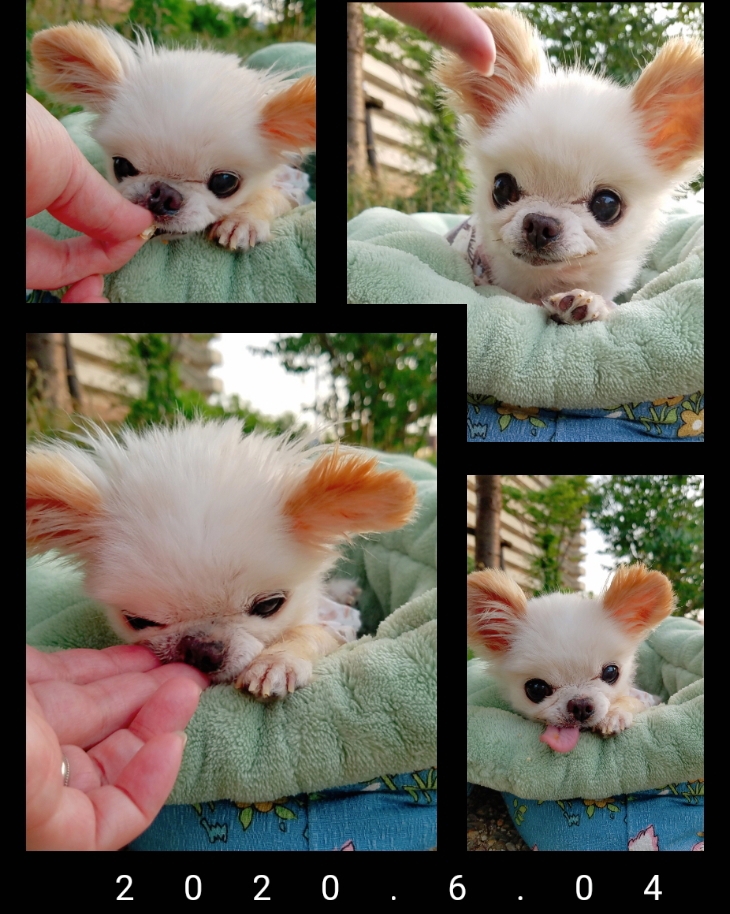 Kazuko Ogawa �S�X���� �S�V�b�N �����[�^ �f�U�C�i�[