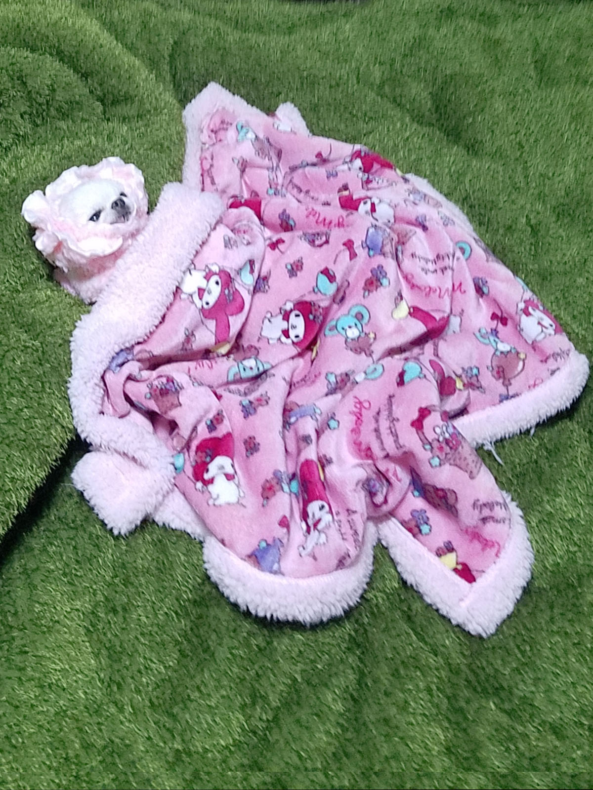 Kazuko Ogawa �S�X���� �S�V�b�N �����[�^ �f�U�C�i�[