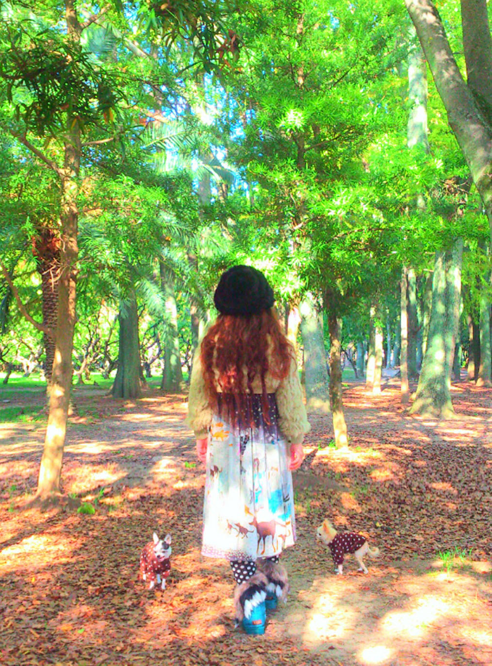 Kazuko Ogawa �S�X���� �S�V�b�N �����[�^ �f�U�C�i�[