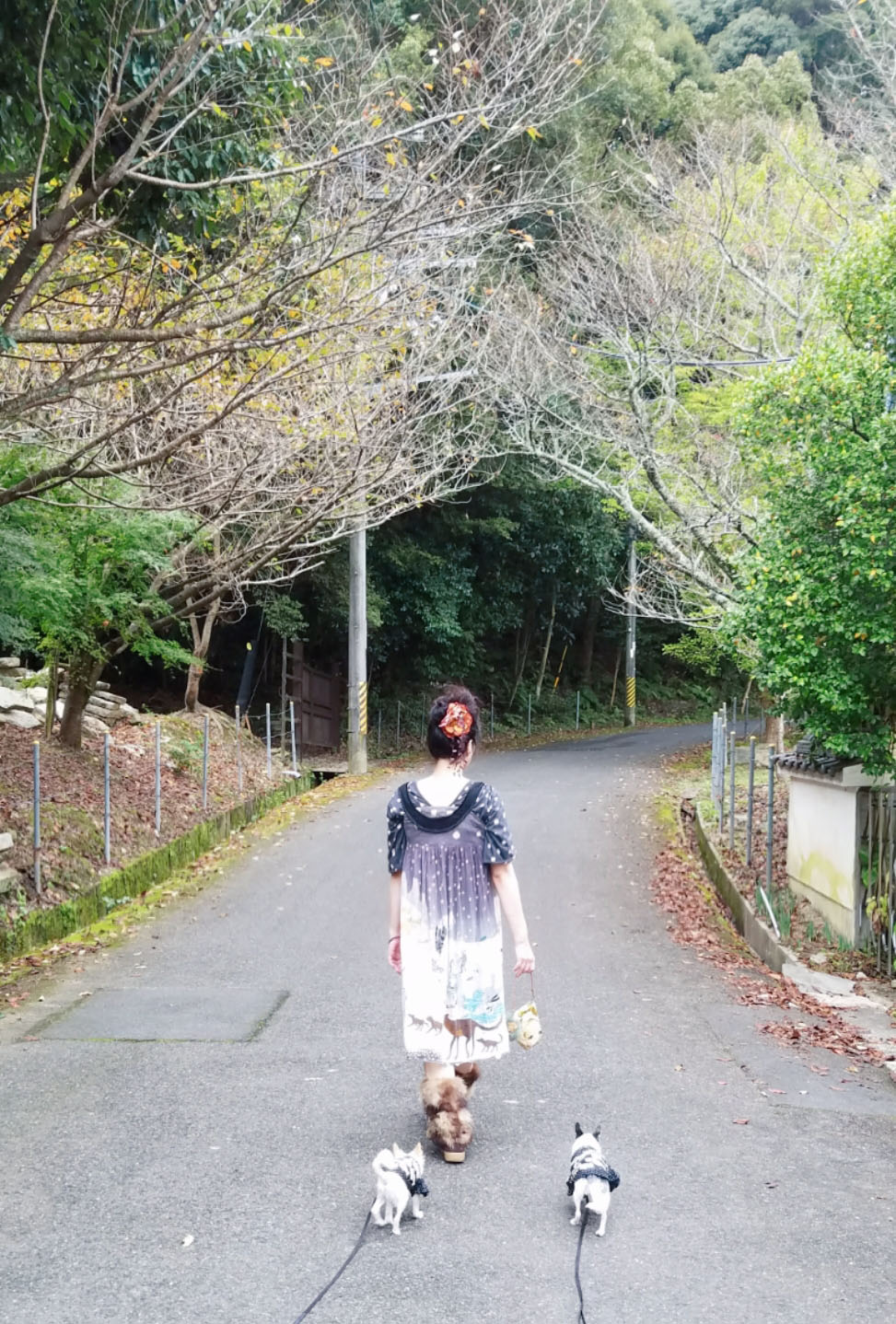 Kazuko Ogawa �S�X���� �S�V�b�N �����[�^ �f�U�C�i�[