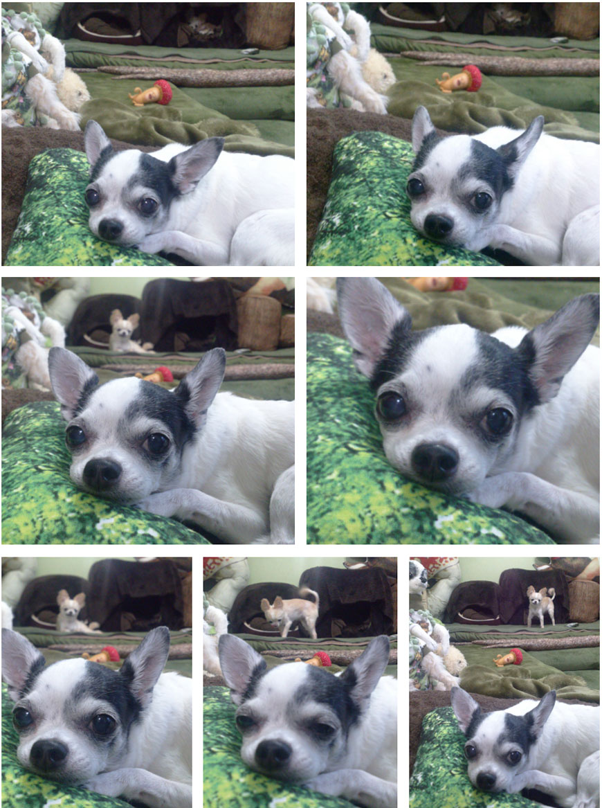 Kazuko Ogawa �S�X���� �S�V�b�N �����[�^ �f�U�C�i�[