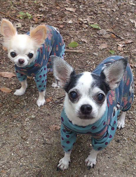 Kazuko Ogawa �S�X���� �S�V�b�N �����[�^ �f�U�C�i�[