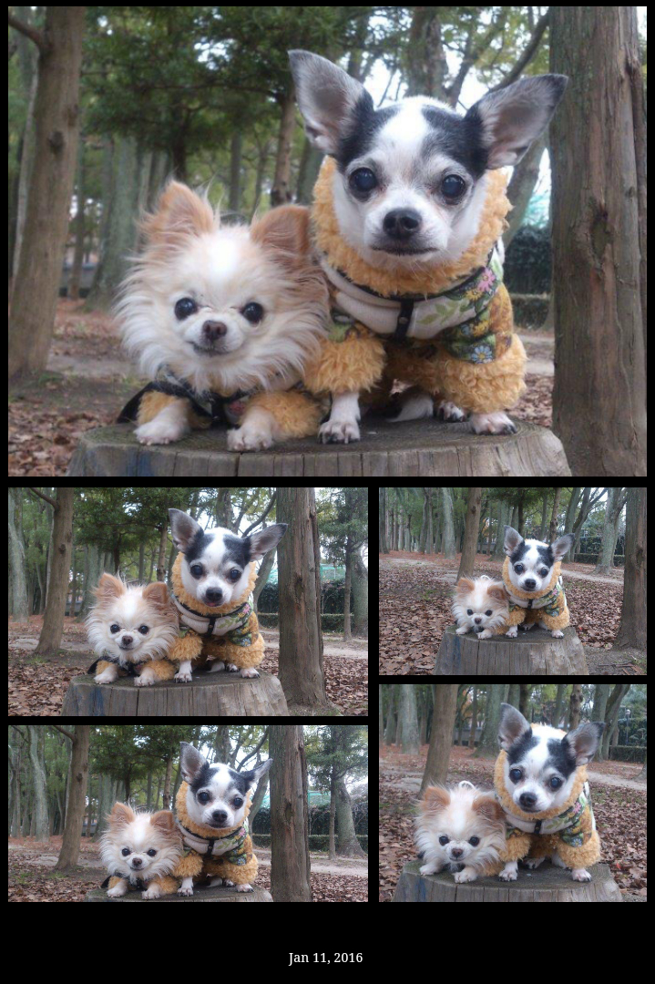 Kazuko Ogawa �S�X���� �S�V�b�N �����[�^ �f�U�C�i�[