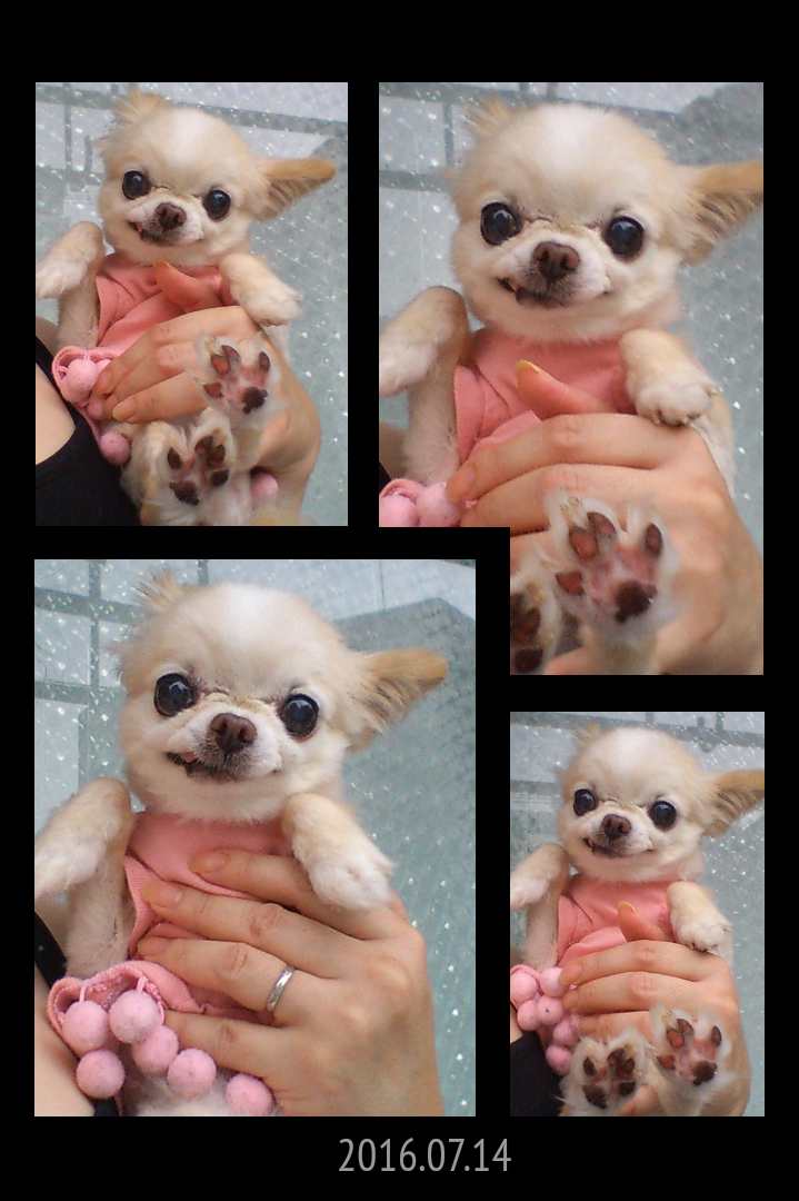 Kazuko Ogawa �S�X���� �S�V�b�N �����[�^ �f�U�C�i�[