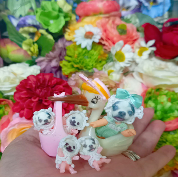 KAZUKO OGAWA OFFICIAL WEBSITE