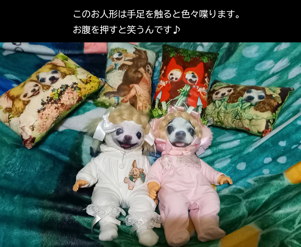 KAZUKO OGAWA TITI LALA chihuahua �`����