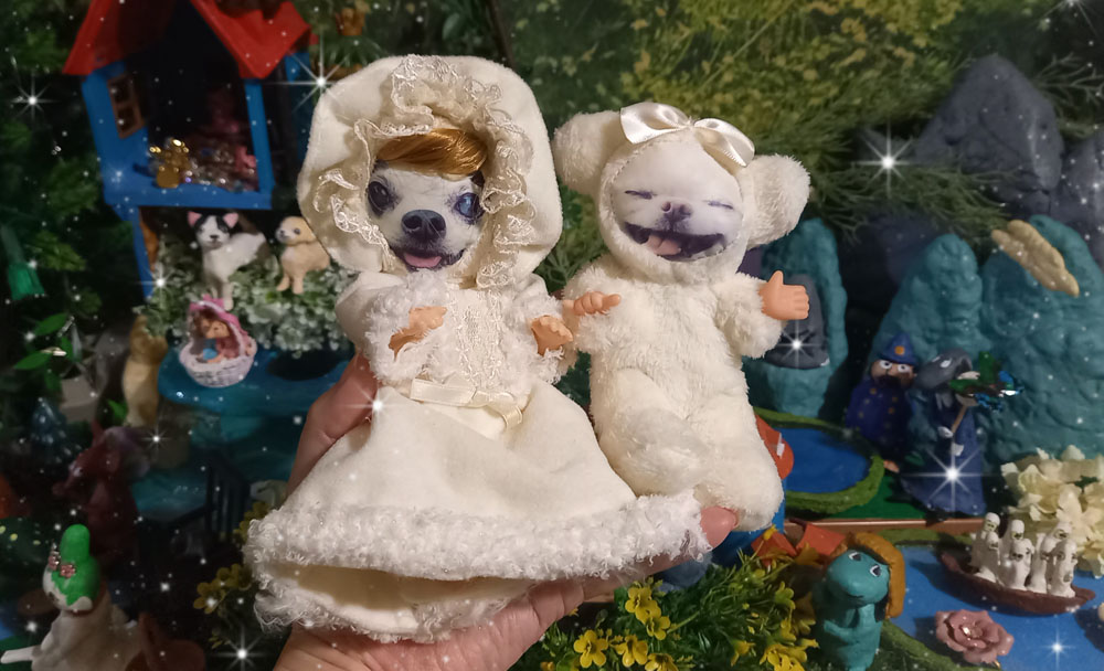 KAZUKO OGAWA TITI LALA chihuahua �`����