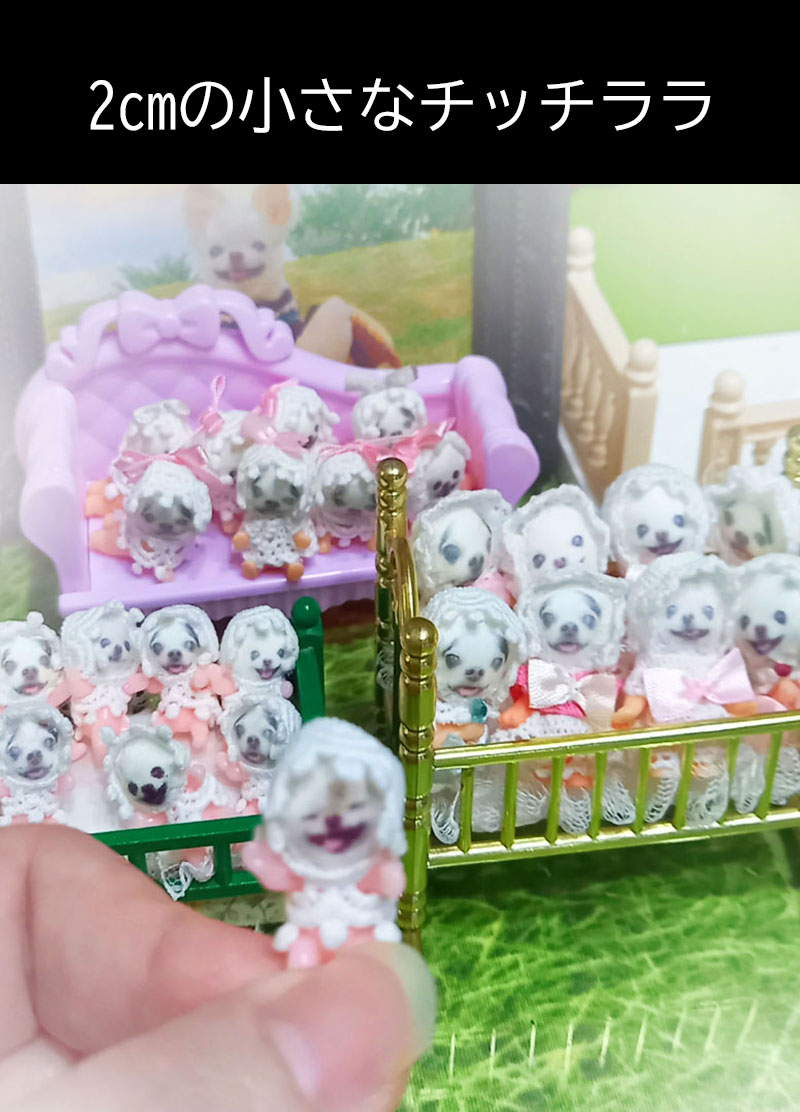 KAZUKO OGAWA TITI LALA chihuahua �`����