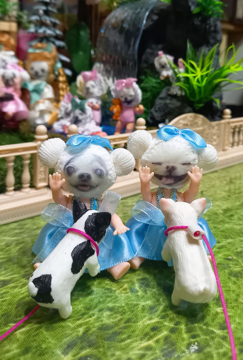 KAZUKO OGAWA TITI LALA chihuahua �`����