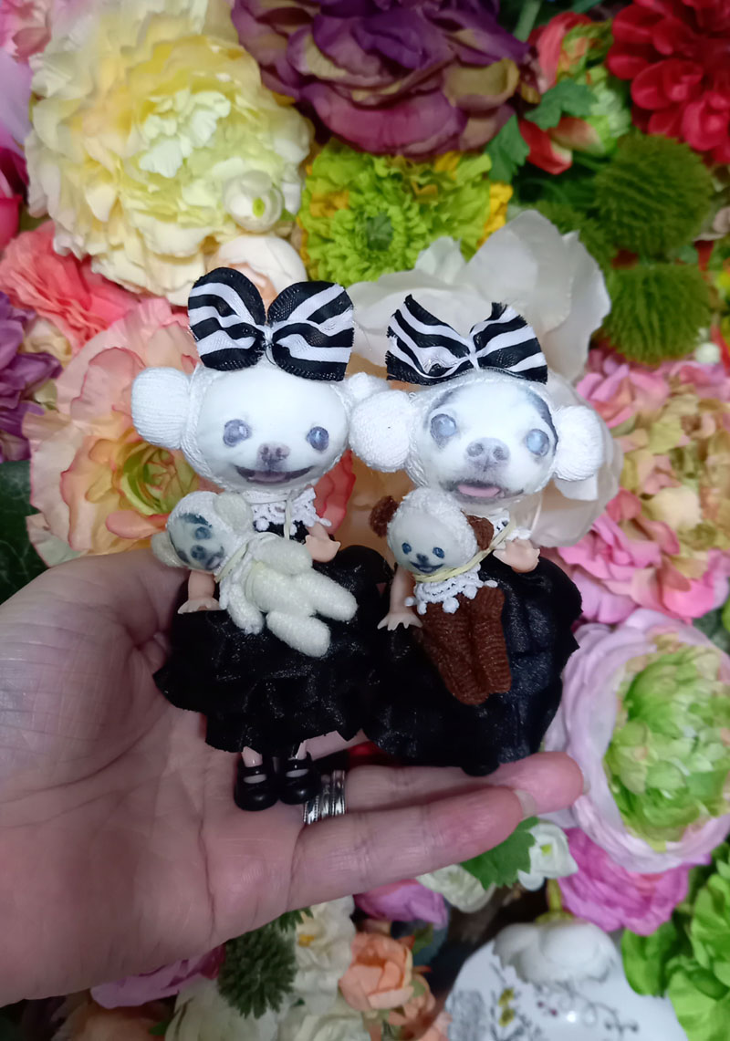 KAZUKO OGAWA TITI LALA chihuahua �`����