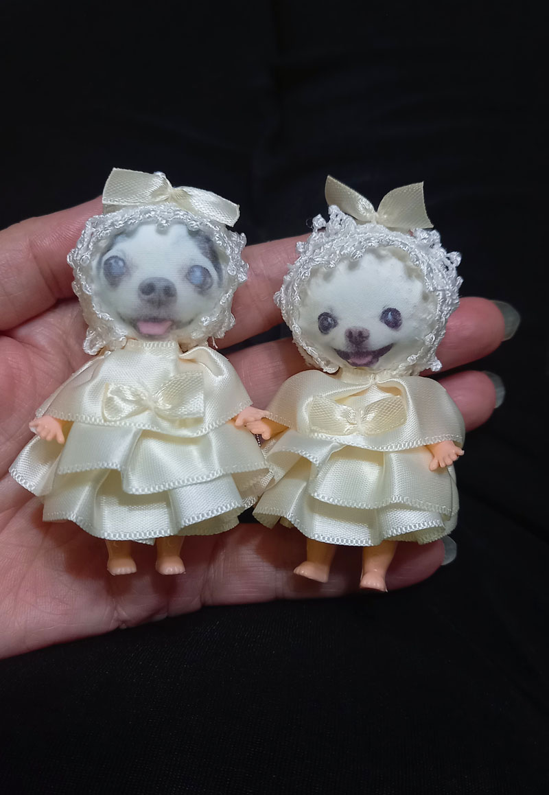 KAZUKO OGAWA TITI LALA chihuahua �`����