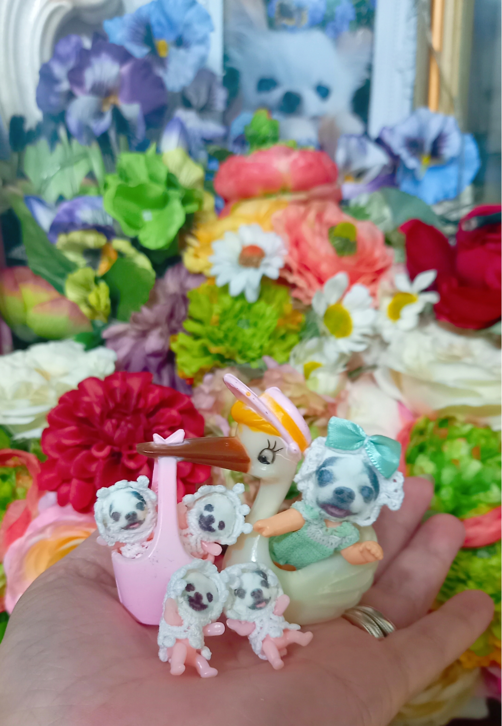 KAZUKO OGAWA TITI LALA chihuahua �`����