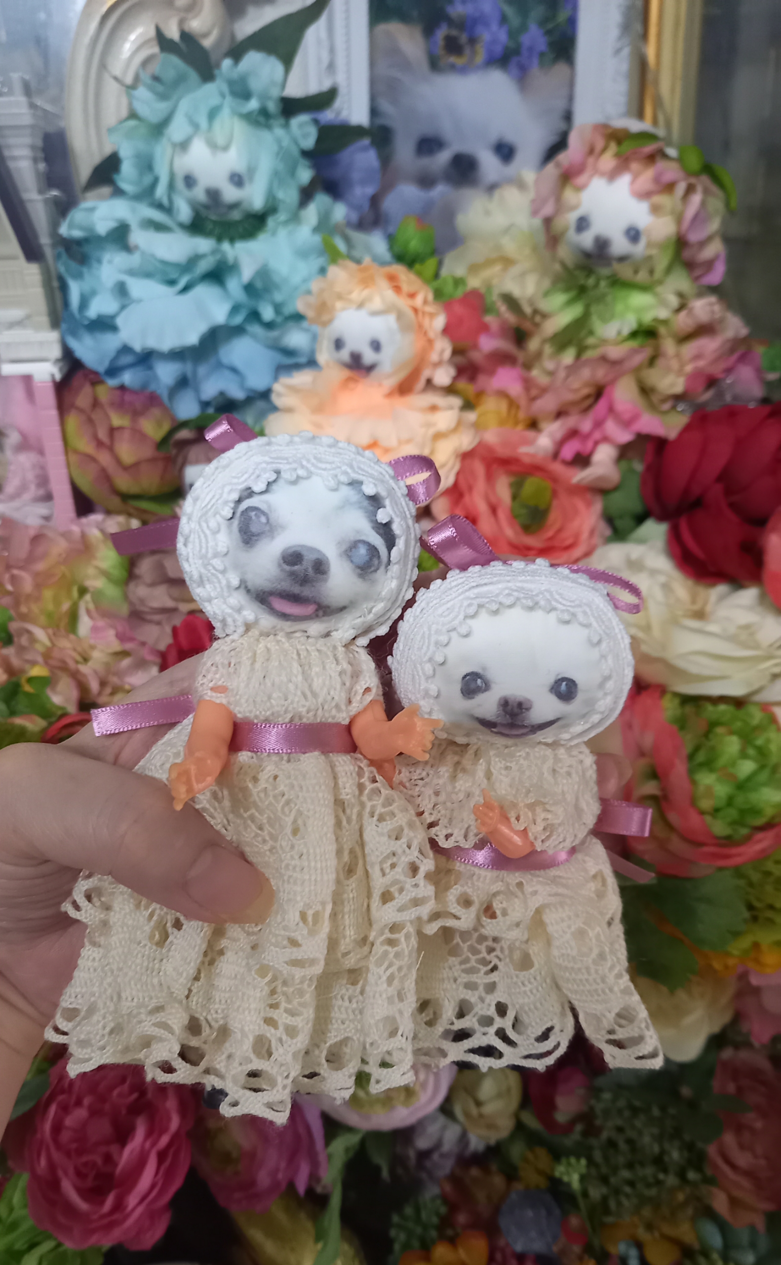 KAZUKO OGAWA TITI LALA chihuahua �`����