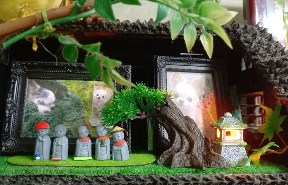 KAZUKO OGAWA TITI LALA chihuahua �`����