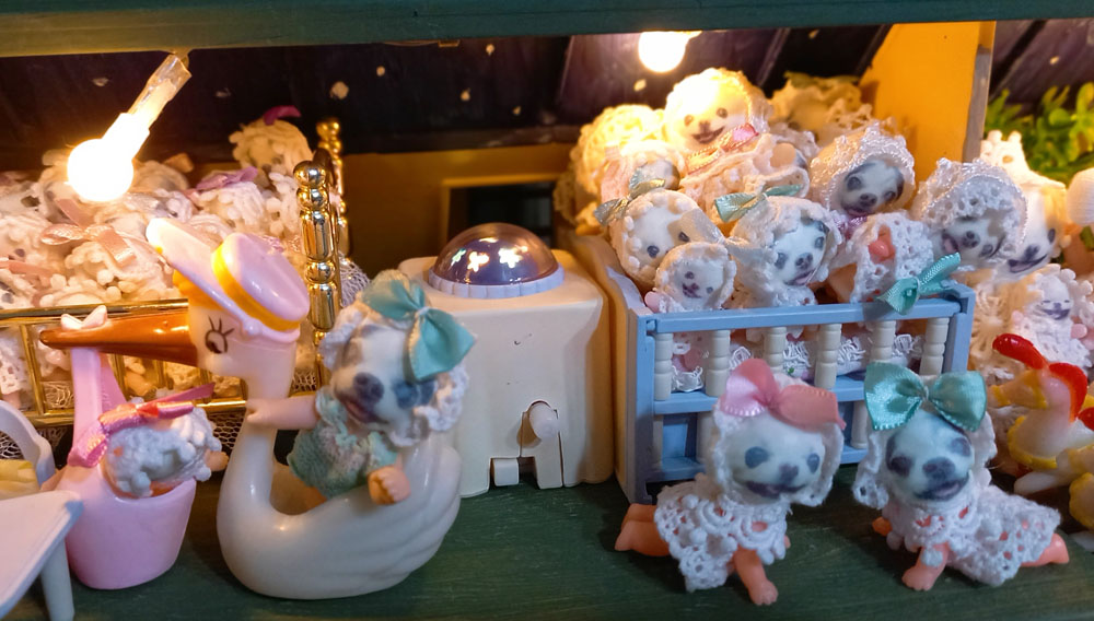 KAZUKO OGAWA TITI LALA chihuahua �`����