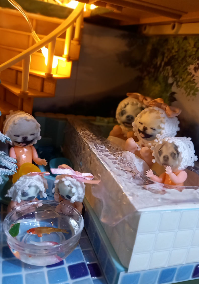 KAZUKO OGAWA TITI LALA chihuahua �`����