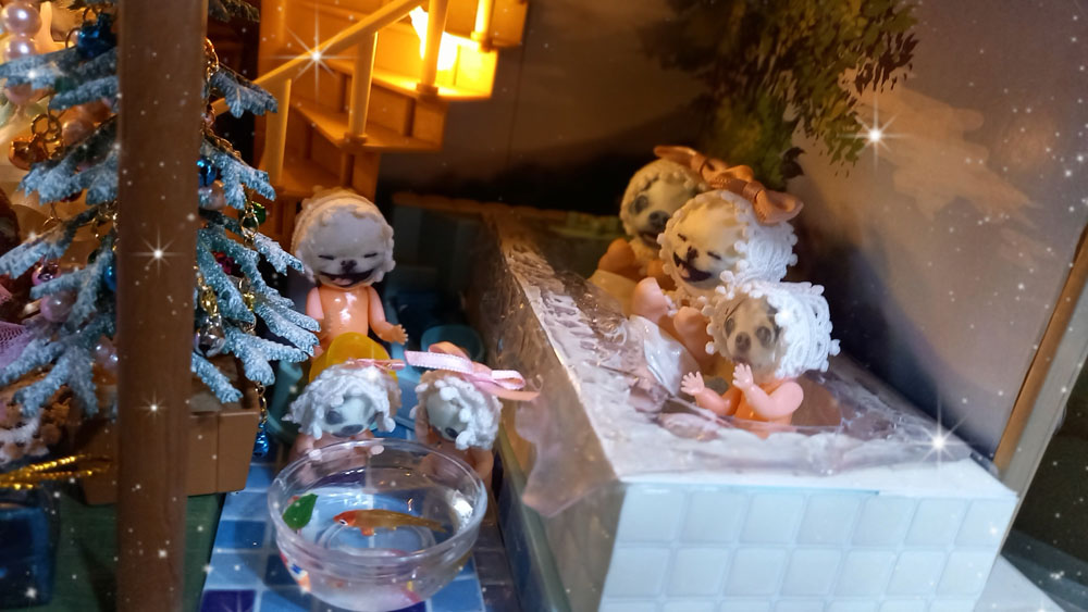 KAZUKO OGAWA TITI LALA chihuahua �`����