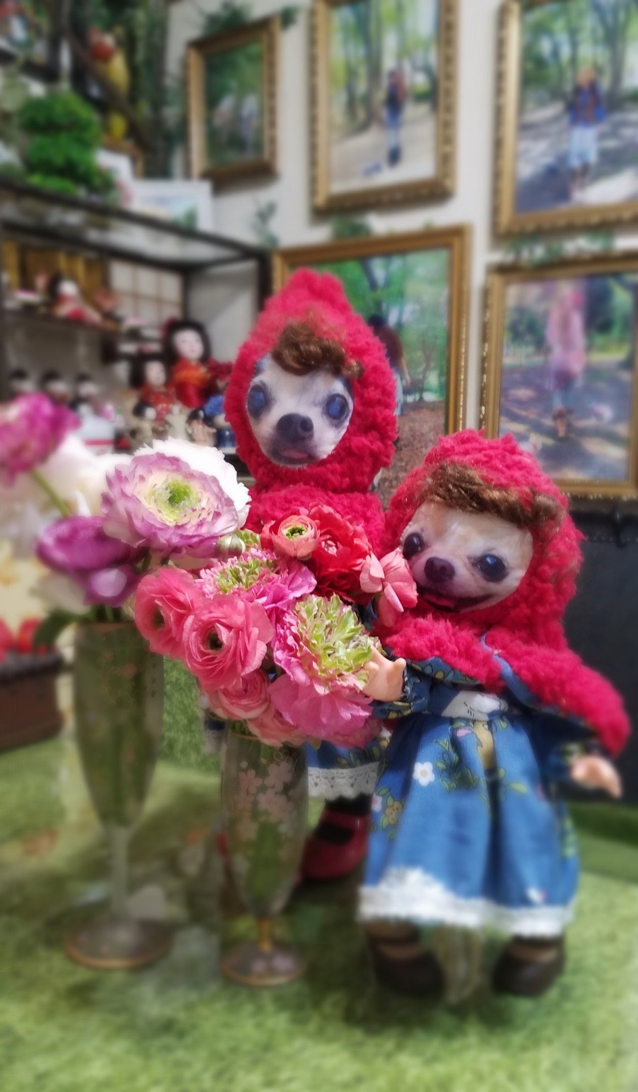 KAZUKO OGAWA TITI LALA chihuahua �`����